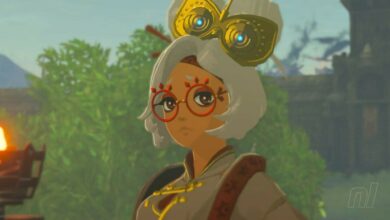 Zelda: Tears Of The Kingdom Purah character is transformed into a VTuber