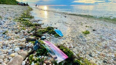 The world must 'synergize' to end plastic pollution: Guterres