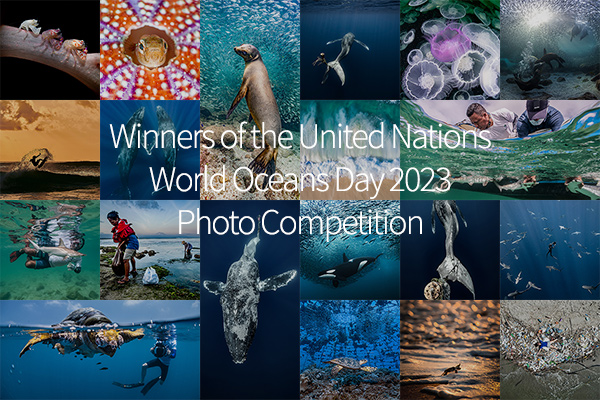 Announcing the winners of the 10th United Nations World Oceans Day Photo Contest
