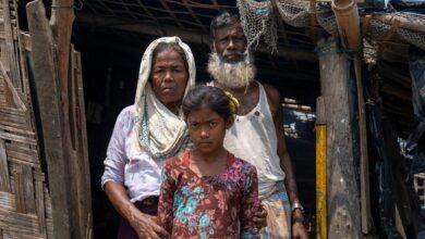 Bangladesh must suspend plan to bring Rohingya refugees back to Myanmar: Rights expert