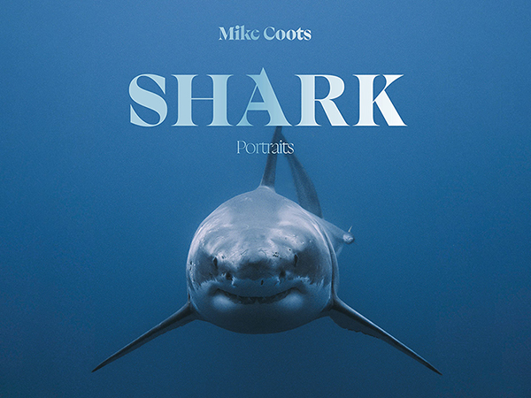 New book: “Shark: Portrait” by Mike Coots