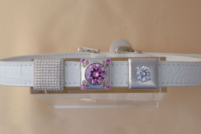 Ritani launches pet jewelry with a $34,000 diamond dog collar