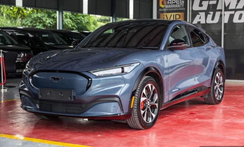 Ford not yet ready against Chinese EVs – chairman