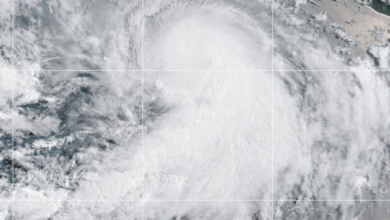 Hurricane Adrian formed off the coast of Mexico in the Eastern Pacific