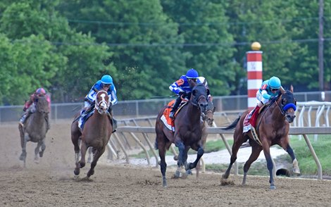 National treasure can get repeat trip in Belmont Stakes