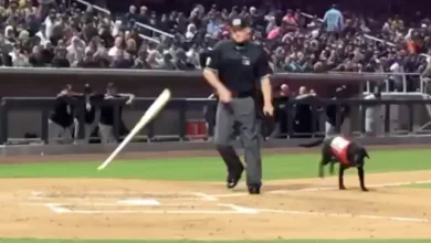 Ump was rude to the bat dog and the crowd let him hear it