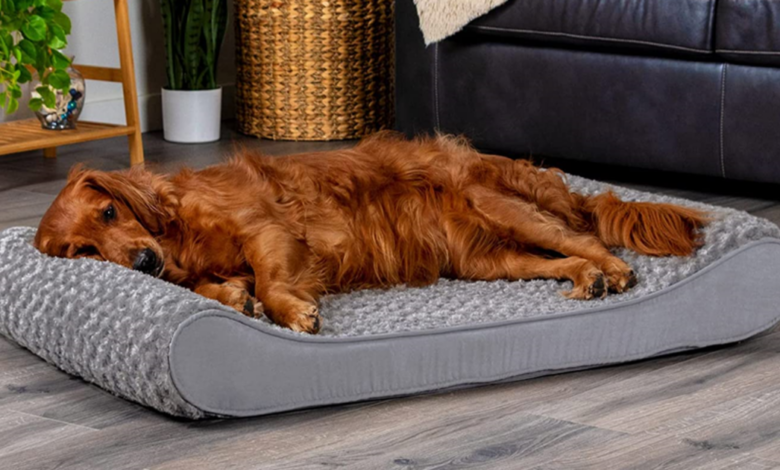 Furhaven Orthopedic Dog Bed Review (2023)