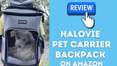 Review of HALOVIE . pet backpack