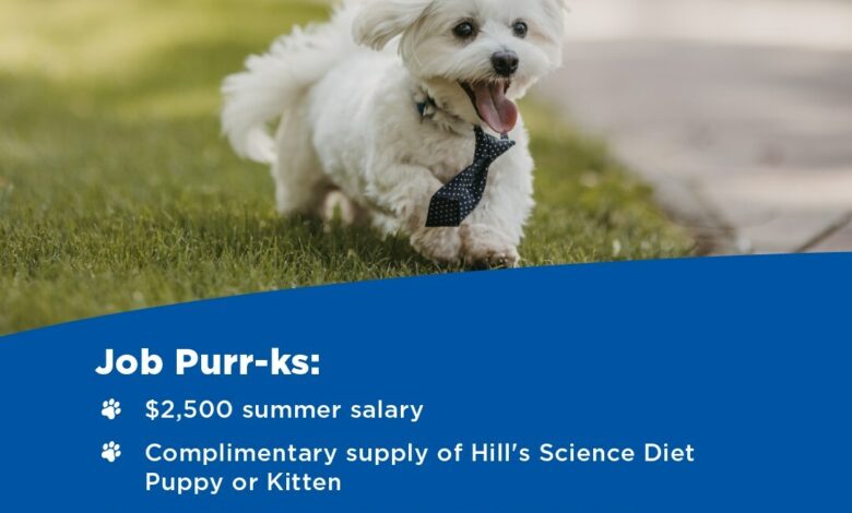 Could your puppy earn $2500 as a Hill