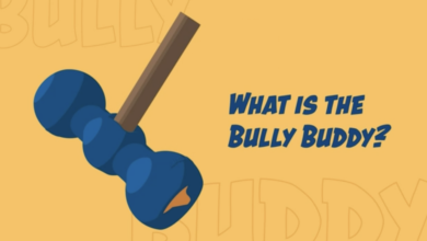 4 Best Bullying Stick Holders for Dogs (+1 Important Warning)