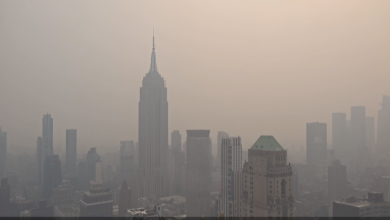 Worst air quality in New York history?
