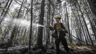 Rain brings much-needed relief to firefighters battling Nova Scotia wildfires : NPR