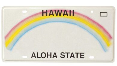 Hawaiian man fails to appeal to keep Anti-BLM license plate