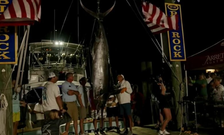 Why a blue marlin was eliminated from the Big Rock tournament in NC: NPR