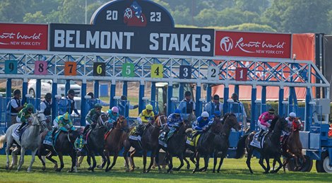 NYRA added two CDI horse safety protocols recently