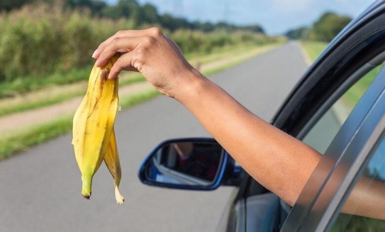 Can I throw apple cores and banana peels out the car window?