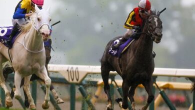 Songline and Sodashi rematch in Yasuda Kinen