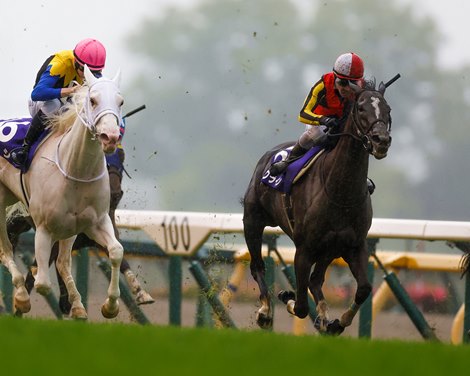 Songline and Sodashi rematch in Yasuda Kinen