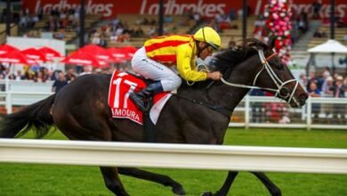 Amokura rises for the holiday in Queensland Oaks