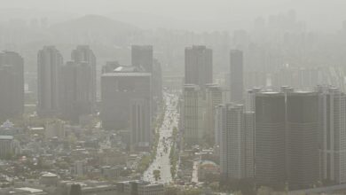 How air pollution from wildfires in the US compares to Beijing, Mexico City and more: NPR