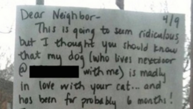 Heartbroken dog reminds owner to write a letter to his neighbor