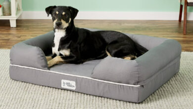 PetFusion Ultimate Dog Bed: In-depth review