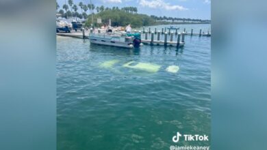 Honda goes to sea: CR-V sinks in boat ramp accident