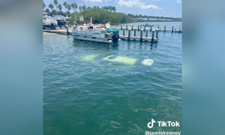 Honda goes to sea: CR-V sinks in boat ramp accident