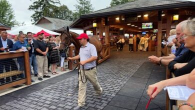 Relive an Exciting Opening Day of The Saratoga Sale!