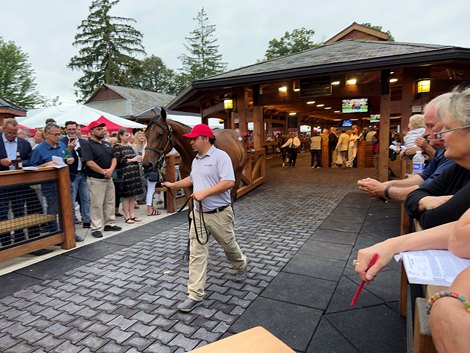 Relive an Exciting Opening Day of The Saratoga Sale!