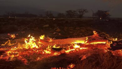Hawaii wildfire death toll rises to 55, Lahaina 'reduced to ashes'