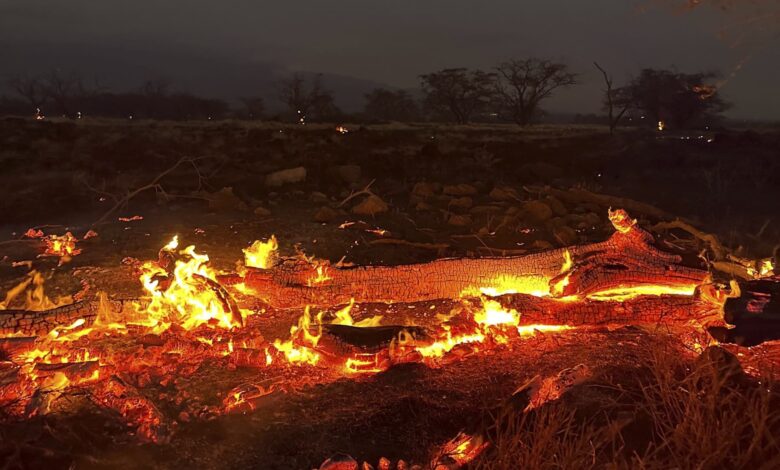 Hawaii wildfire death toll rises to 55, Lahaina 'reduced to ashes'