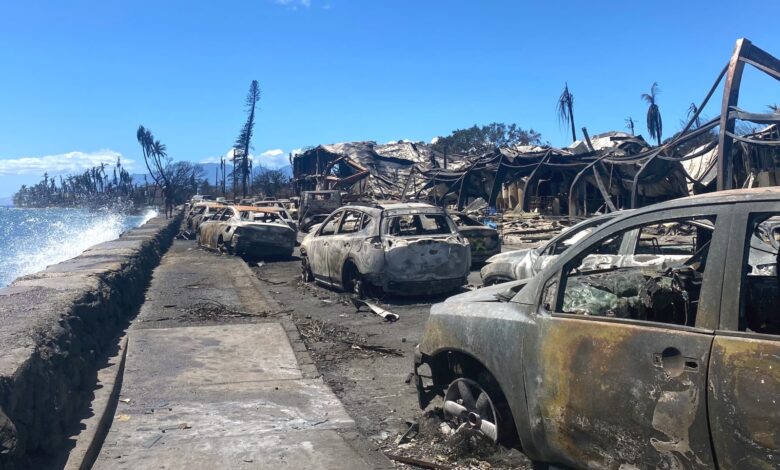 Hawaii Maui wildfires death toll