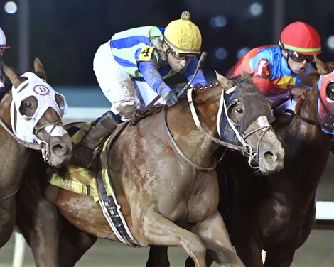 How Did He Do That Tops La. Downs' Revived Super Derby