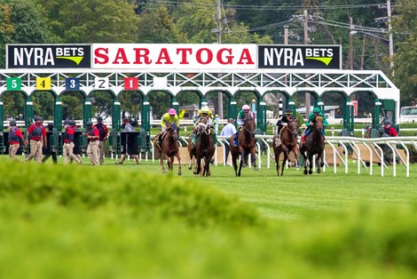No Turf Racing, Steeplechase Aug. 9 at Saratoga