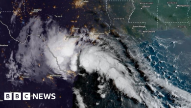 Harold: Second US tropical storm in a week drenches Texas