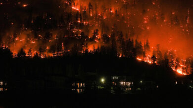 Wildfire in Kelowna, British Columbia, Expected to Leave Lasting Scar