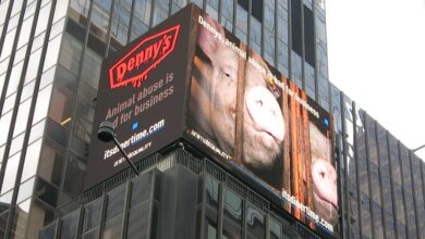 A digital billboard featuring a pig peering through the bars of a crate. The text reads, "Denny