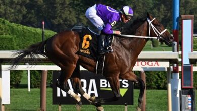New York Thunder Another Top Runner for Nyquist