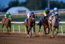 Mano Dura Faces Full Field of 12 in Canadian Derby