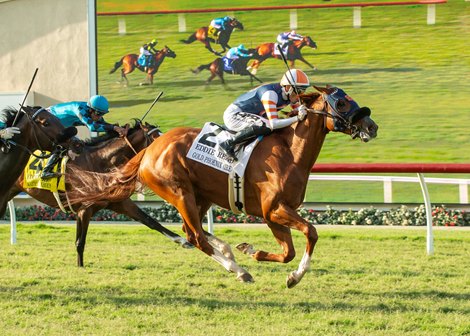 Strong Hand for D'Amato in Del Mar Handicap