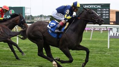 Field of 9 Reassembled for Aug. 11 Hall of Fame Stakes