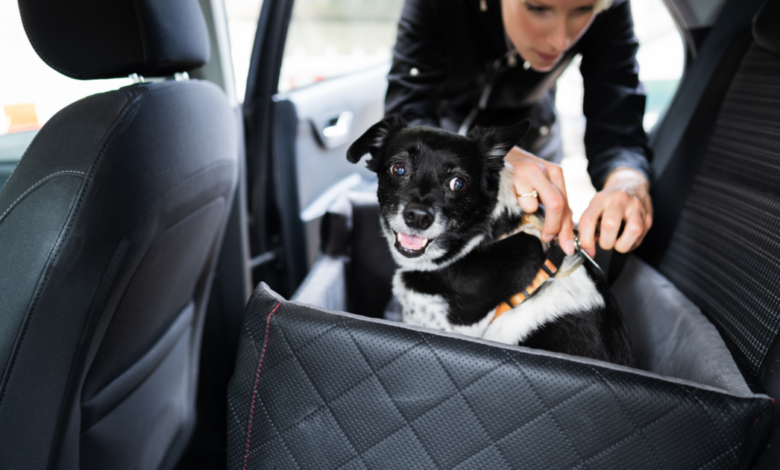 8 Best Dog Car Seat Beds For A Comfortable Trip