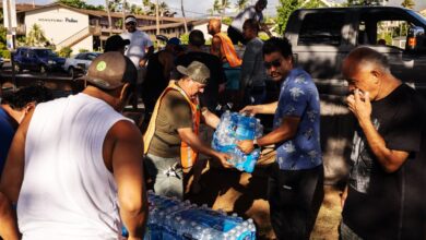 How to Help and Donate to Wildfire Victims in Hawaii