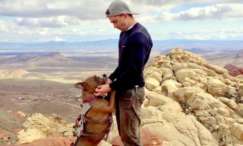 After 6-Months Of No-Eye Contact, Dad Figures Out Adopted Dog’s “True Passion”