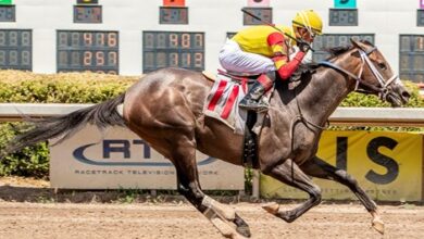 Jayde Gelner Wins Two Stakes on Louisiana Cup Day