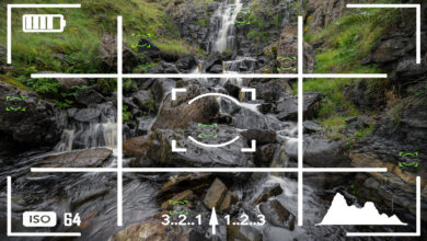 A Simple Guide to Focus Stacking