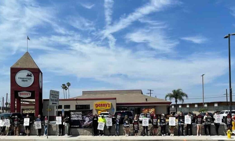 Nationwide Protests Raise Concern for Pigs in Denny’s Supply Chain