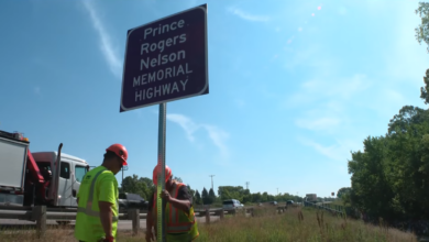 Don't Pull Over To Take Photos Of Prince Road Signs