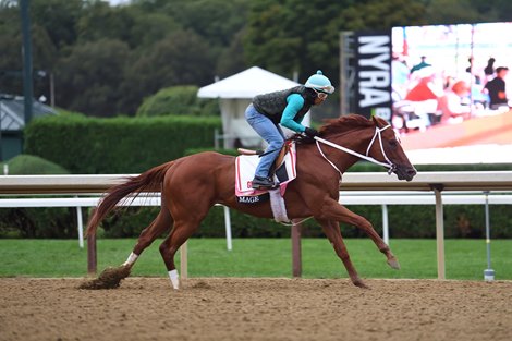 Mage Ready to Roll in Travers Stakes